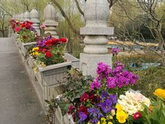 -大宁灵石公园西门票处