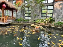 -南宫五洲植物乐园