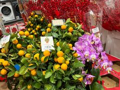 -山姆会员商店(杨桥西路店)