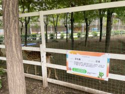 -优沃得自然教育农场·冰雪乐园·生日会·研学