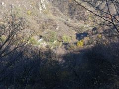 -大岭沟猕猴桃谷风景区