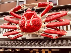 -蟹道乐(道顿堀本店)