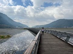-腾冲北海湿地