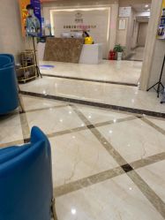 -碧莲盛·不剃发植发