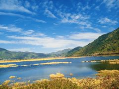 -腾冲北海湿地