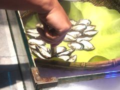 -阪尚皇·原切牛排·烤肉火锅自助(北京路店)