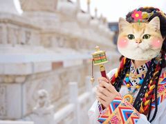 -大召寺明清一条街