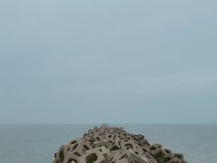 -东疆建设开发纪念公园