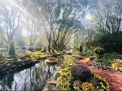 -上海共青森林公园