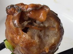 -洞背山庄(洞背院区式管理小区店)