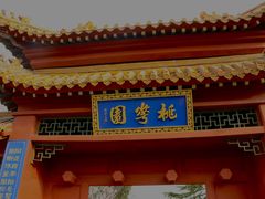 -桃花堤公园