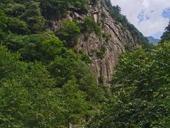 -青峰峡国家森林公园