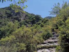 -阳台山自然风景区