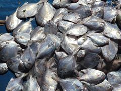 -登州市场(登州路店)