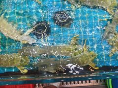 -醉壹号海鲜大排档(厦门美食地标店)