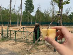 -秦皇岛野生动物园