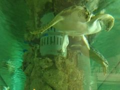 -东莞常平逸豪国际大酒店