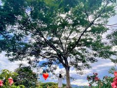 -中国科学院西双版纳热带植物园