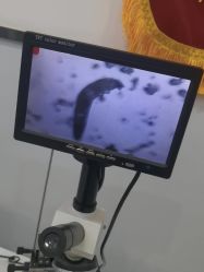 -蕾特恩专业祛痘·皮肤管理