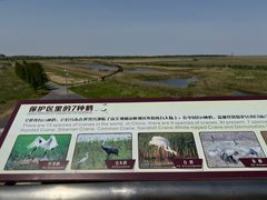 -盐城丹顶鹤湿地生态旅游区