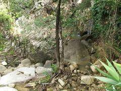 -海南霸王岭国家森林公园