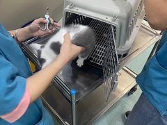 -动物缘宠物医院·骨科·猫科(西二环店)