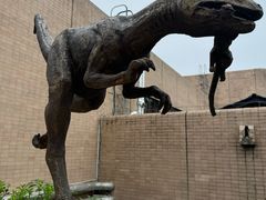 -自贡恐龙博物馆