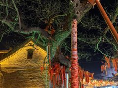 -杨家埠民间艺术大观园