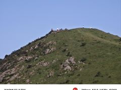 -大姆山草场