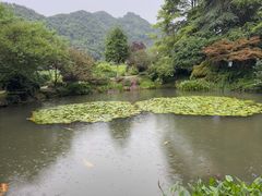 -中国茶叶博物馆(双峰馆区)