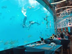 -瑞德姆美人鱼海底演艺主题餐厅(亚龙湾店)