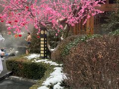 -麦积山温泉