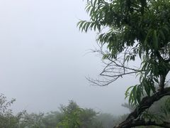 -含鄱口