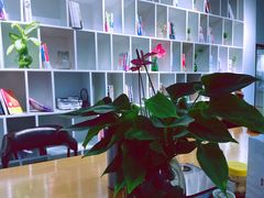 -P.T HERO私人健身工作室(吾悦国际店)