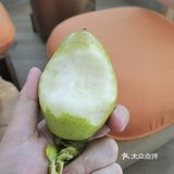 秋天来一个香梨吧[调皮]