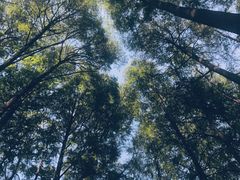 -波尔登森林公园