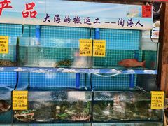 -坛南湾阿强农家乐.海鲜大排档老字号(福州地标美食店)