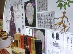 -南宁国际会展中心(会展东博文化旅游区)