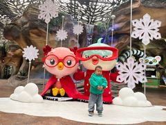 -杭州开元森泊度假乐园