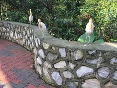 -吉隆坡雀鸟公园