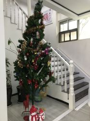 -痘博士昆明·国际祛痘领跑品牌