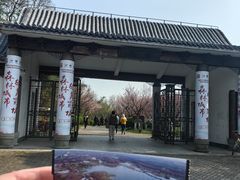 -上海海湾国家森林公园