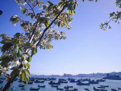 -海源公园