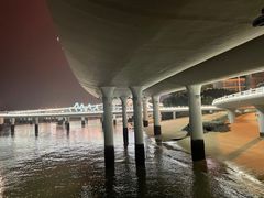 -演武大桥观景平台