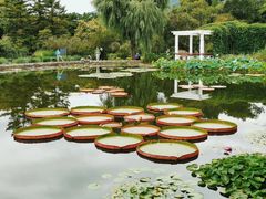 -国家植物园南园