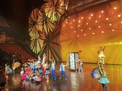 -重庆国际马戏城