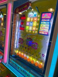 -卡通尼·Safari非洲探索乐园·生日会(金桥国际商业广场店)