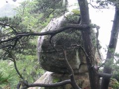 -内乡宝天曼生态旅游区