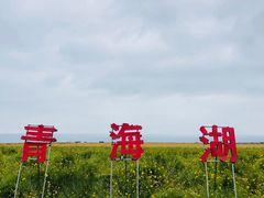 -青海湖国家重点风景名胜区