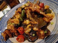 -九华山聚龙大酒店